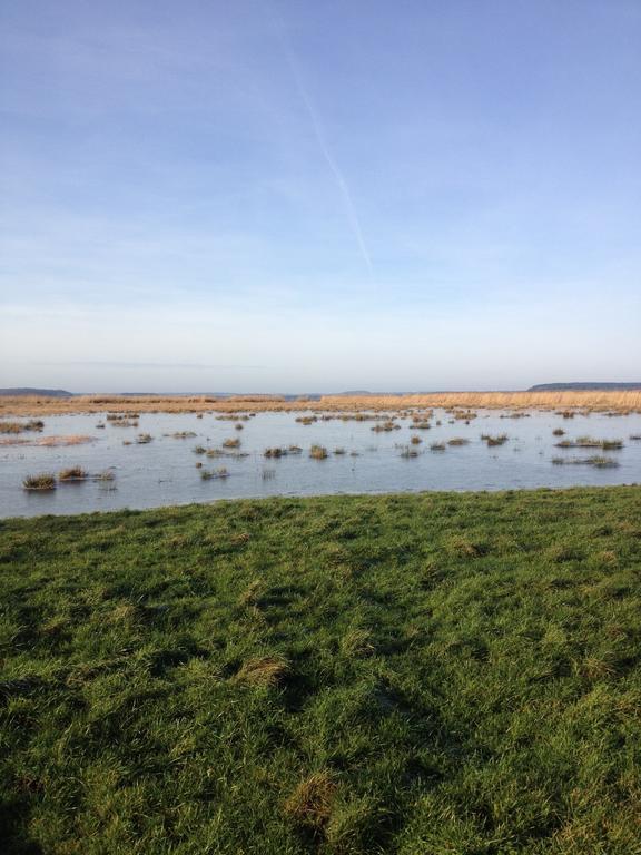 Urlaubsglueck Familien- & Hunde-Paradies Rankwitz Ruang foto